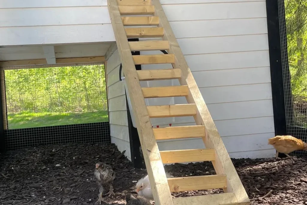 Built in Ladder