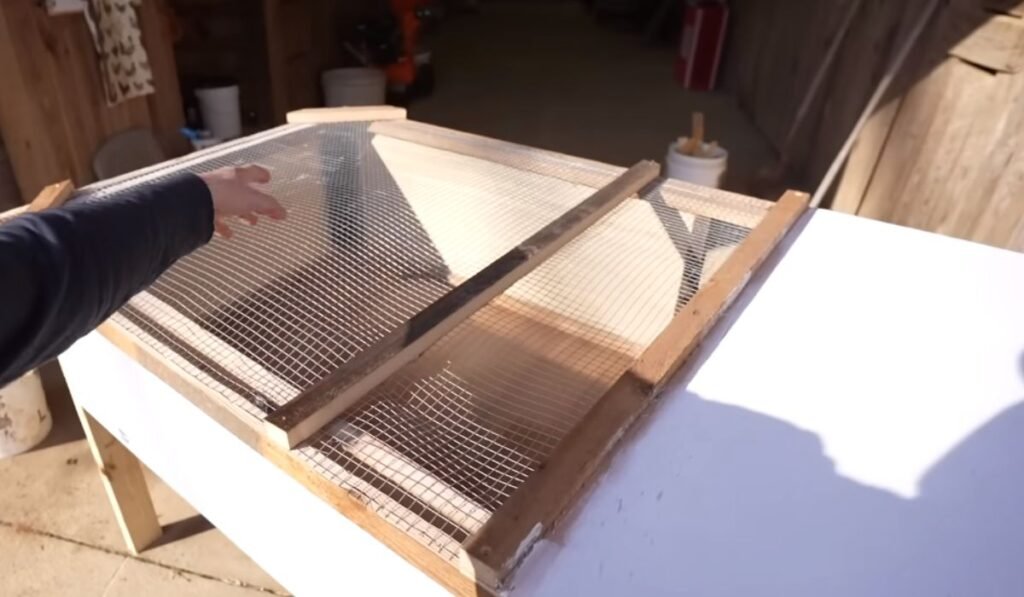 Choosing a Brooder Container