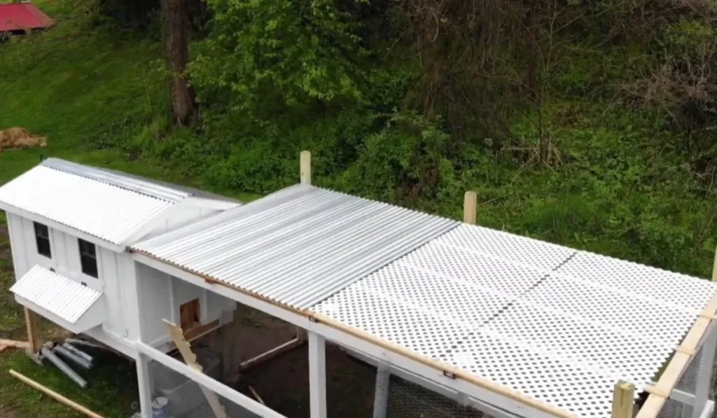 Considerations Before Choosing a Chicken Run Roof