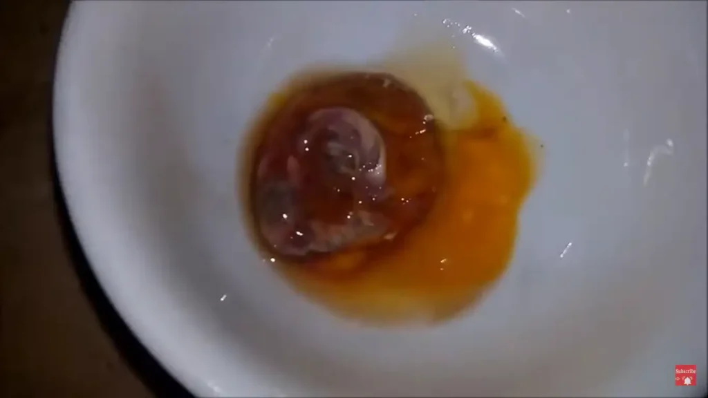 Dead Embryo