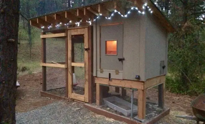 Is Electricity Right for Your Chicken Coop? Here’s How to Decide!