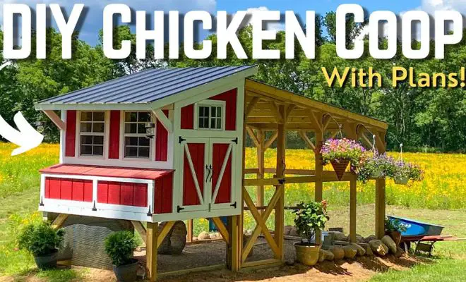 Free DIY Chicken Coop? Repurpose Your Trampoline!