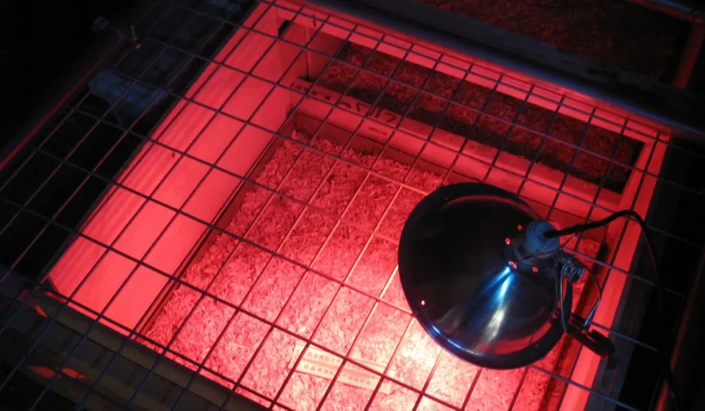 How to Make A Chick Brooder