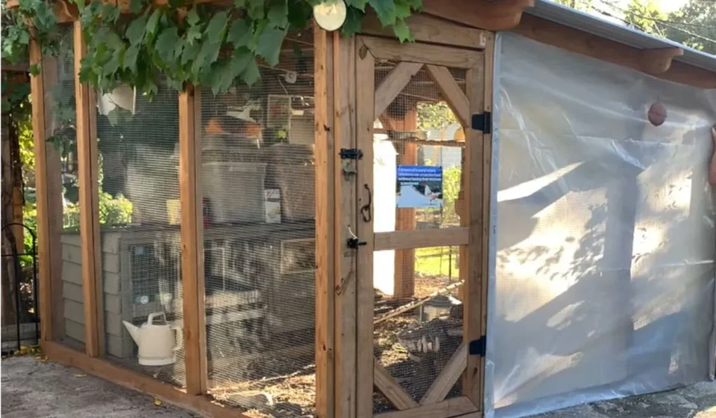How to Winterize the Chicken Coop