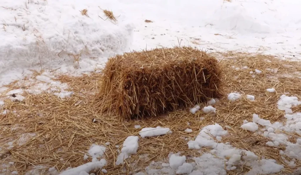Incorporate Natural Debris
