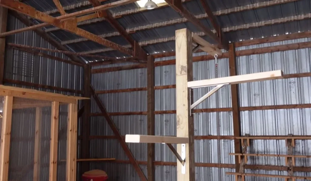 Install Perches, Ladders, and Roosts