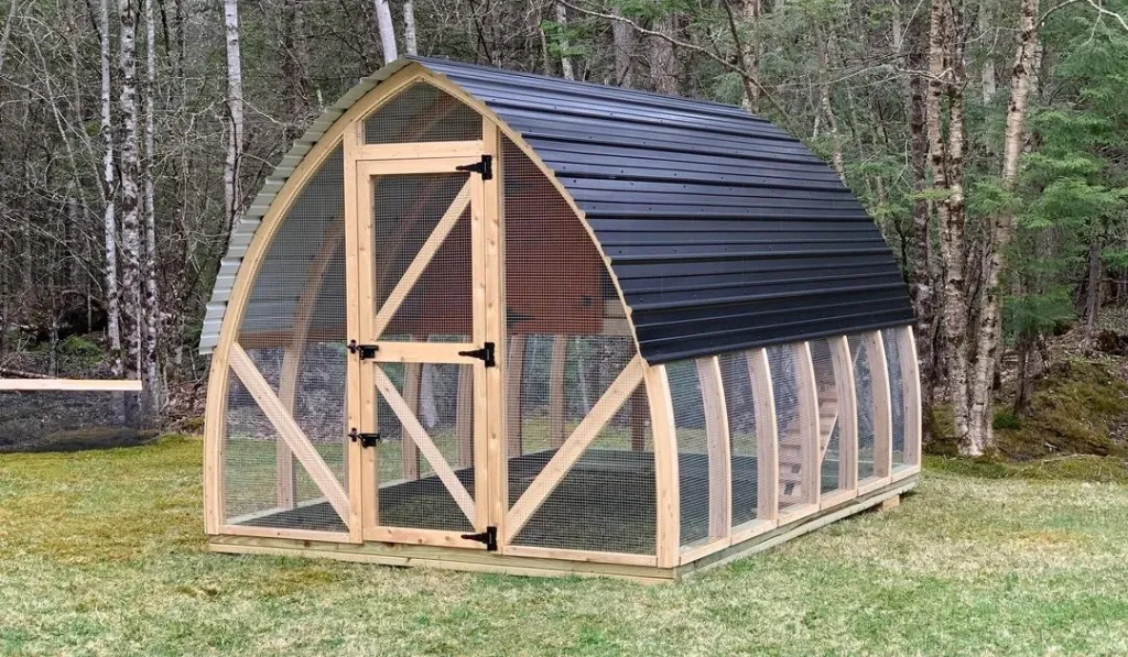 No Coop Walls