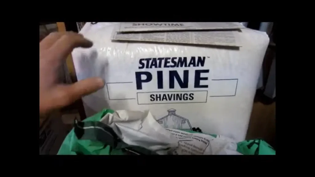 Pine shavings