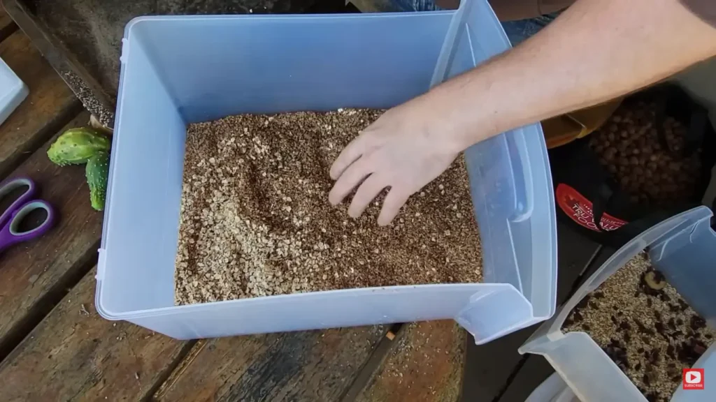 Place your starter stock of mealworms in the bin