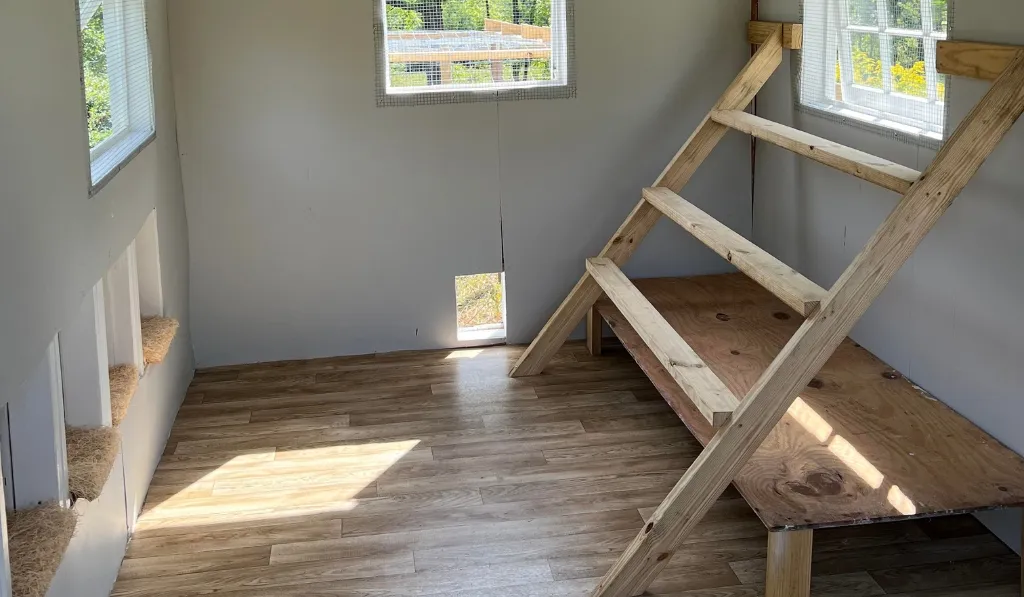 Placing Roosts in the Wrong Place