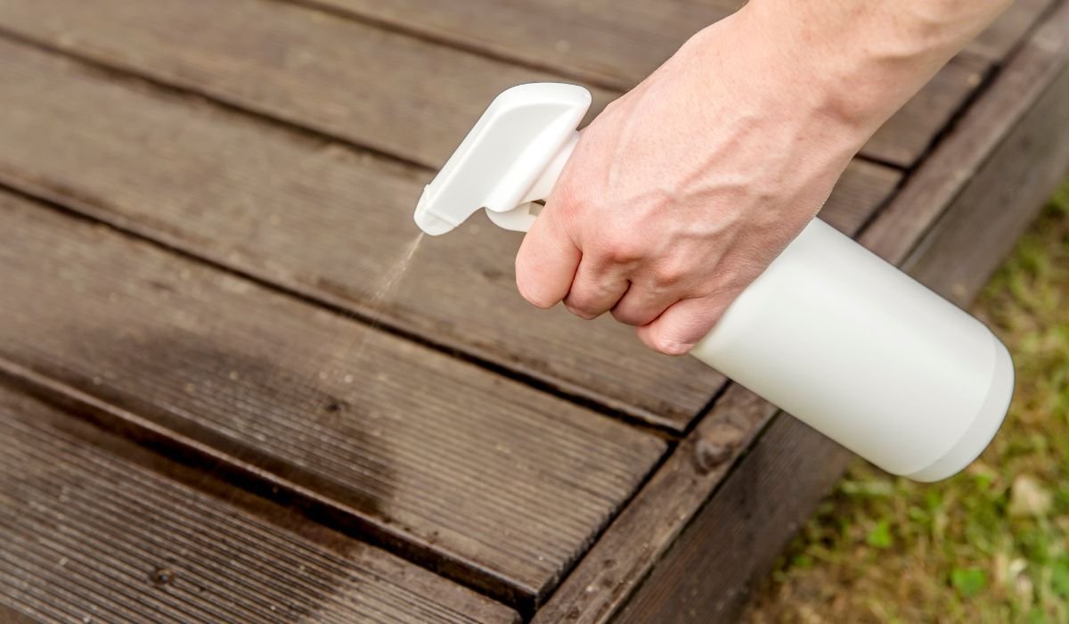 How To Keep Rats Out Of Duck Coop? 9 Ways To Remove Them!