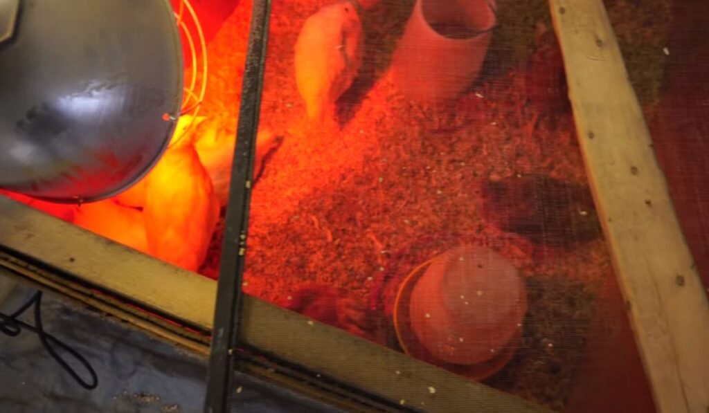 Setting Up the Heating Element