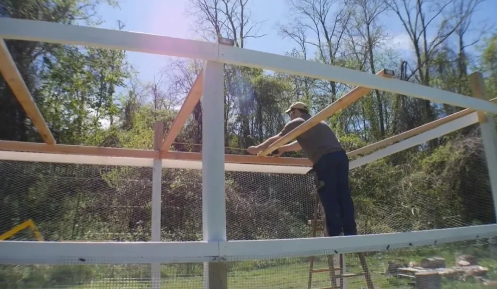 What Type of Roof Should A Chicken Run Have?