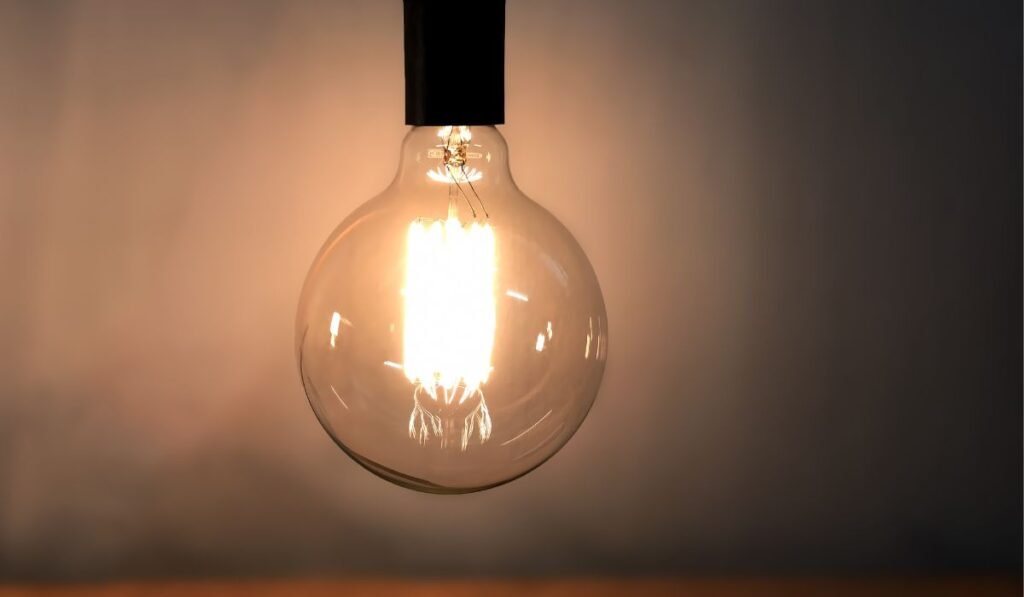 Should My Chicken Coop Have Electricity? Pros and Cons!