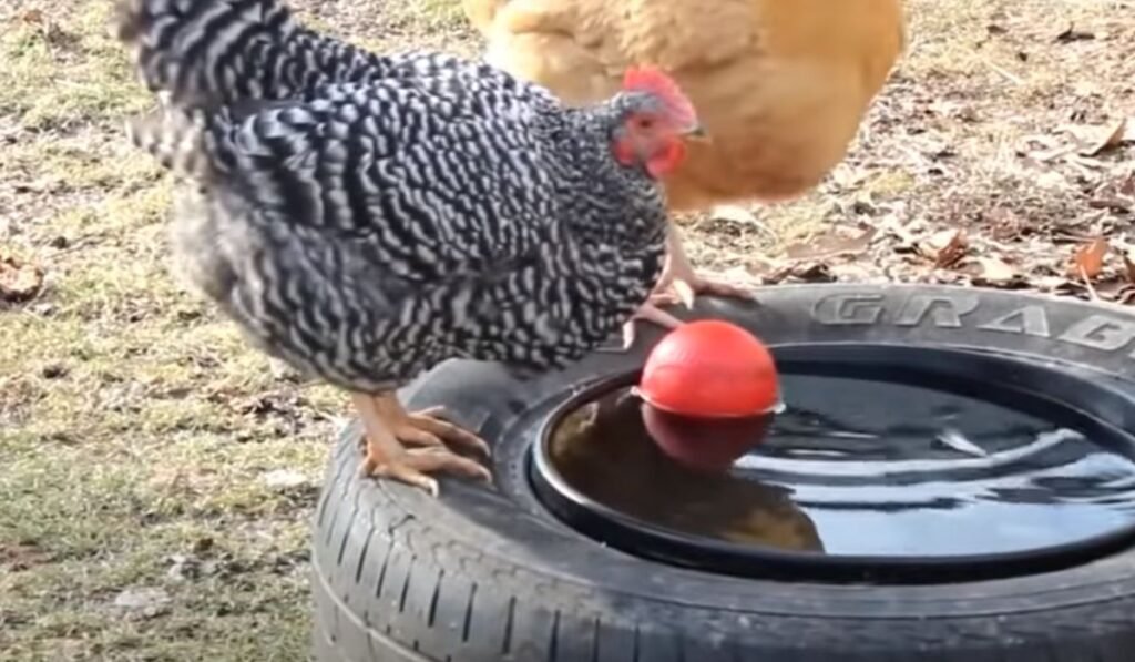 Using Old Car Tire