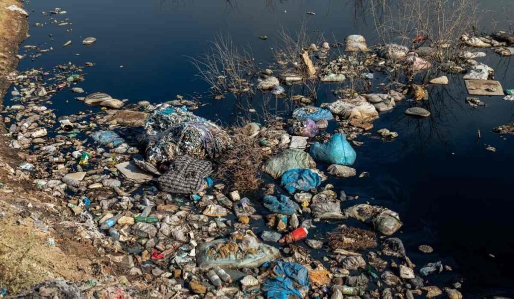 Water Quality