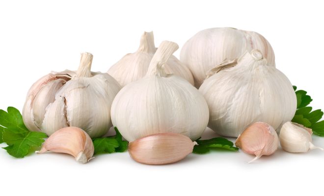 Garlic for Chickens: The Natural Way to Boost Immunity & Fight Disease