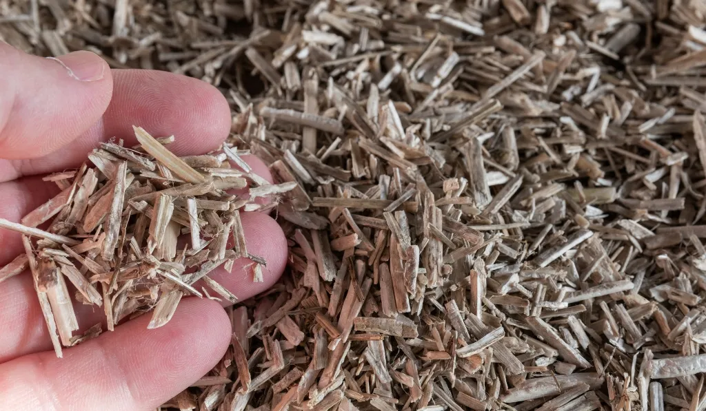 Hemp Bedding