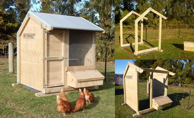 8 Simple Steps to Build A Chicken Run!