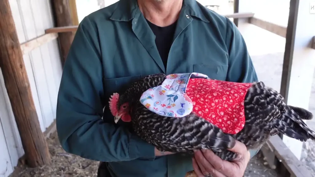 How to Make Chicken Saddles