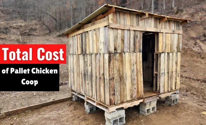 Never Buy a Coop! Try These 7 DIY Pallet Chicken Coop Steps!