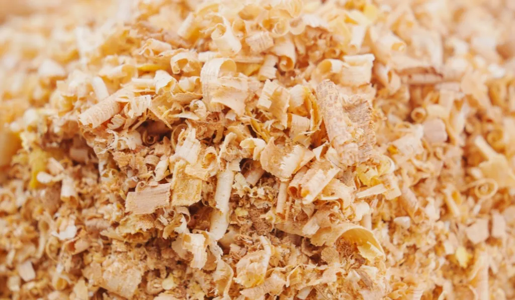 Pine Shavings (Kiln-dried)