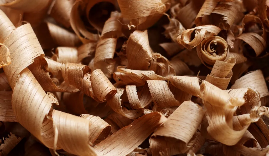 Wood Shavings