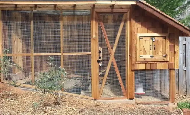 keep snakes out of chicken coop