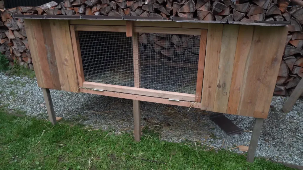 Building Your First Quail Coop