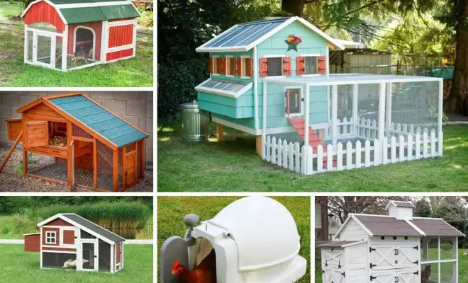 14 Cheap Chicken Coop Ideas Every Owner Will Love!