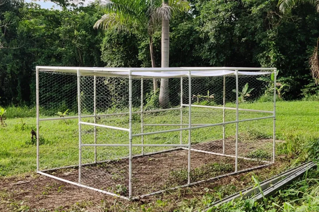 PVC Pipe Coop