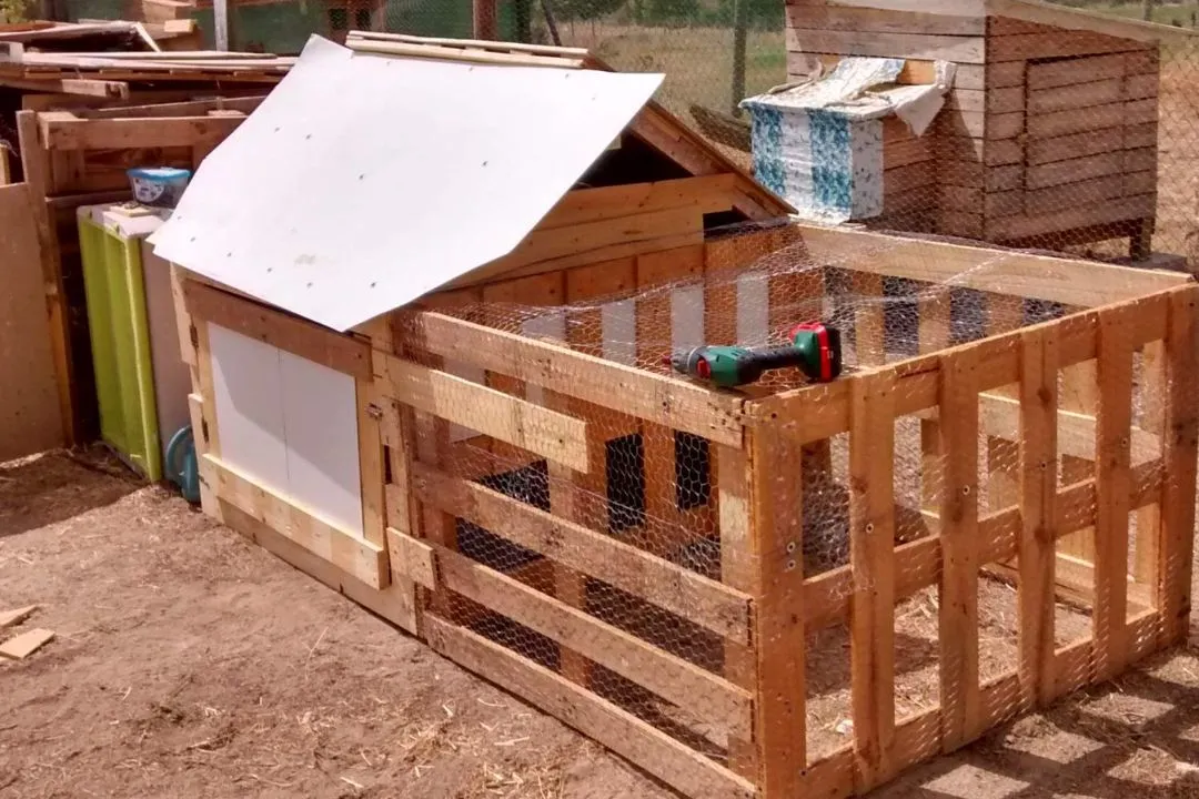 Pallet Chicken Coop