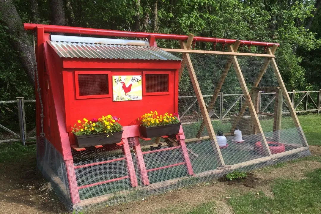 Swing Set Coop
