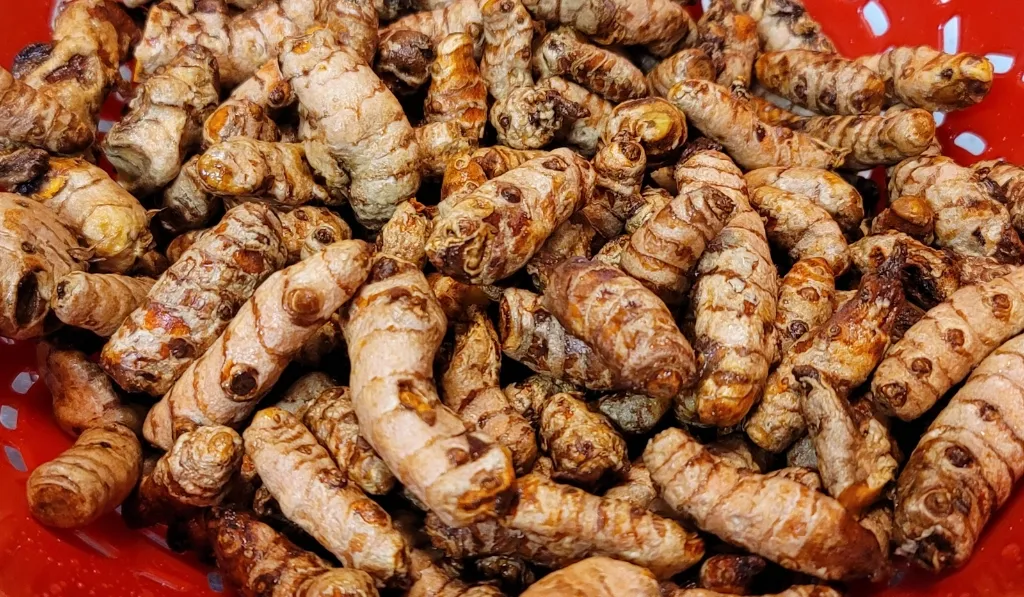 Turmeric