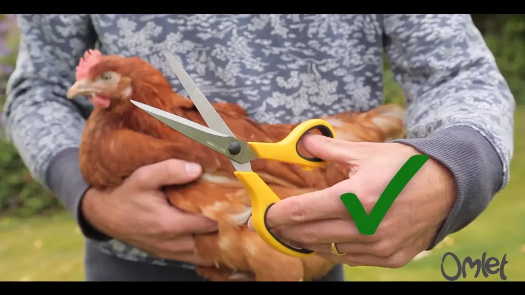 Using your sharp scissors
