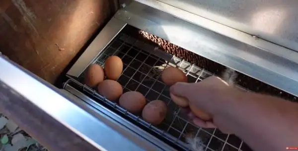 Ways to Make Your Chickens Lay More Eggs