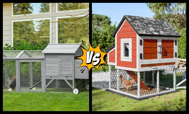 Why Chicken Tractors Are Better Than Static Coops?