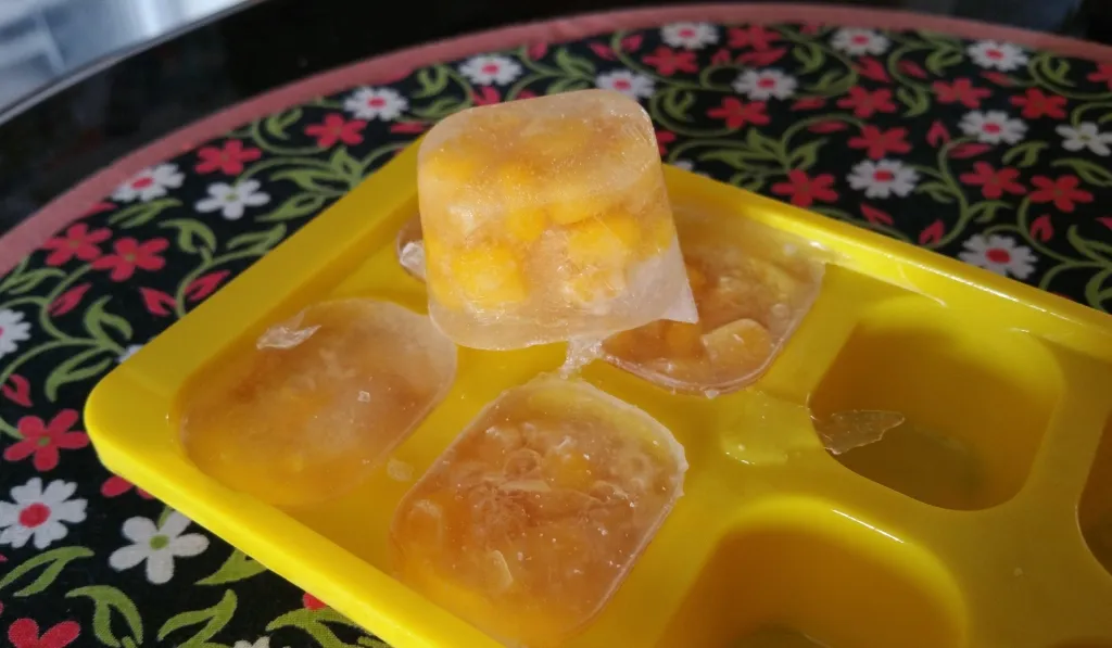 Why Offering Frozen Corn Treats for Chickens 10 Health Benefits