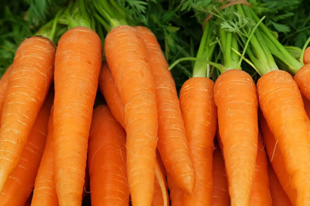 Carrots