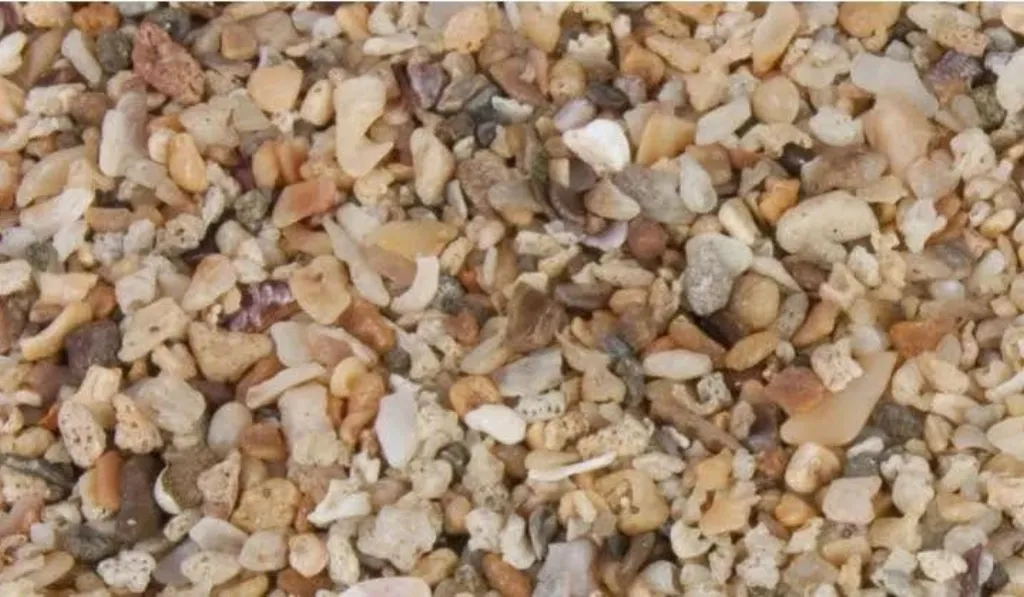 Grit and Calcium Sources