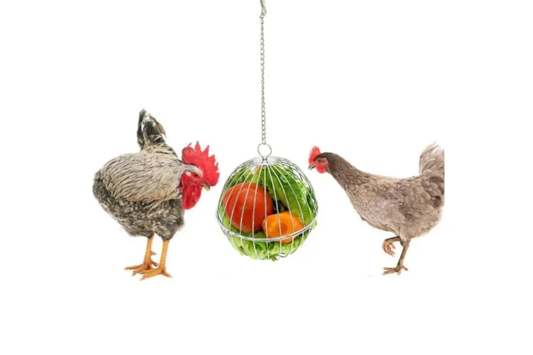 Hanging Treats