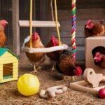 Homemade and Store-bought Toys for Chicken Coop