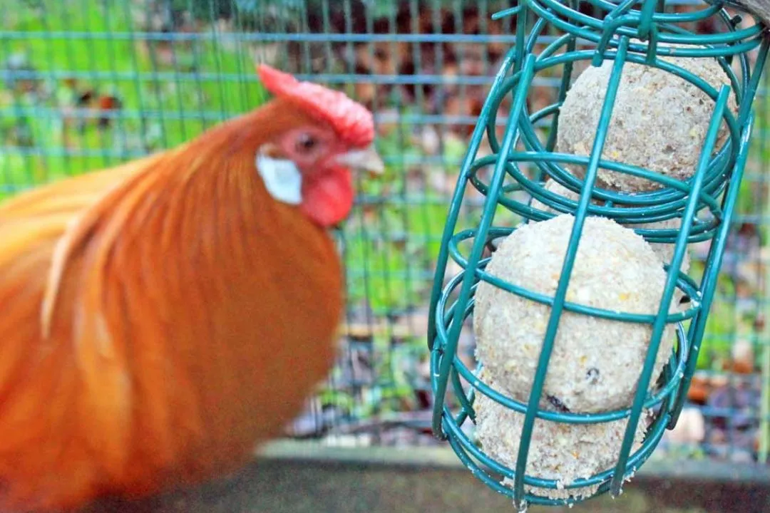 Pecking Balls