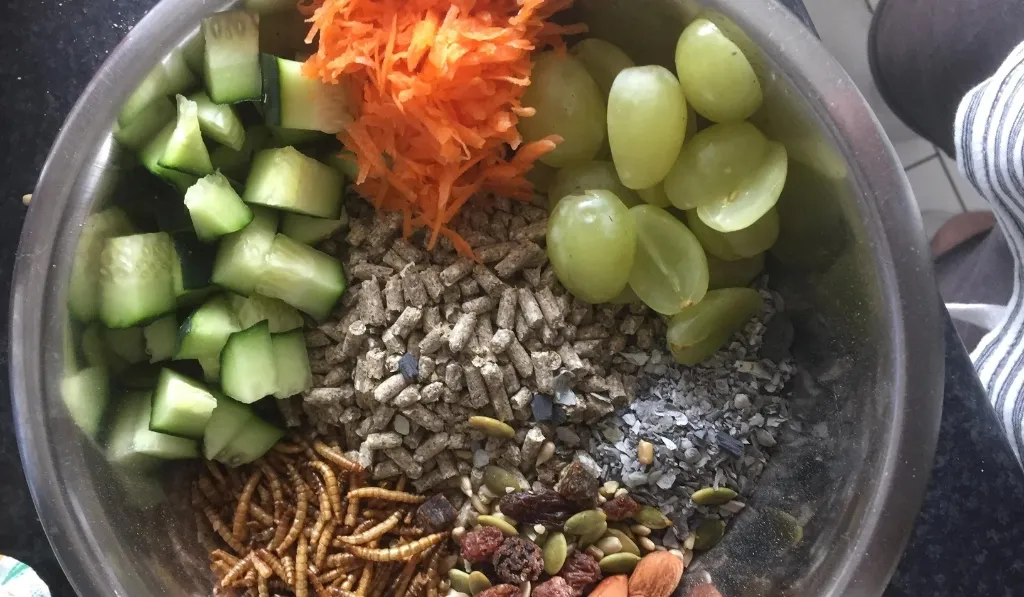 Supplementary Foods