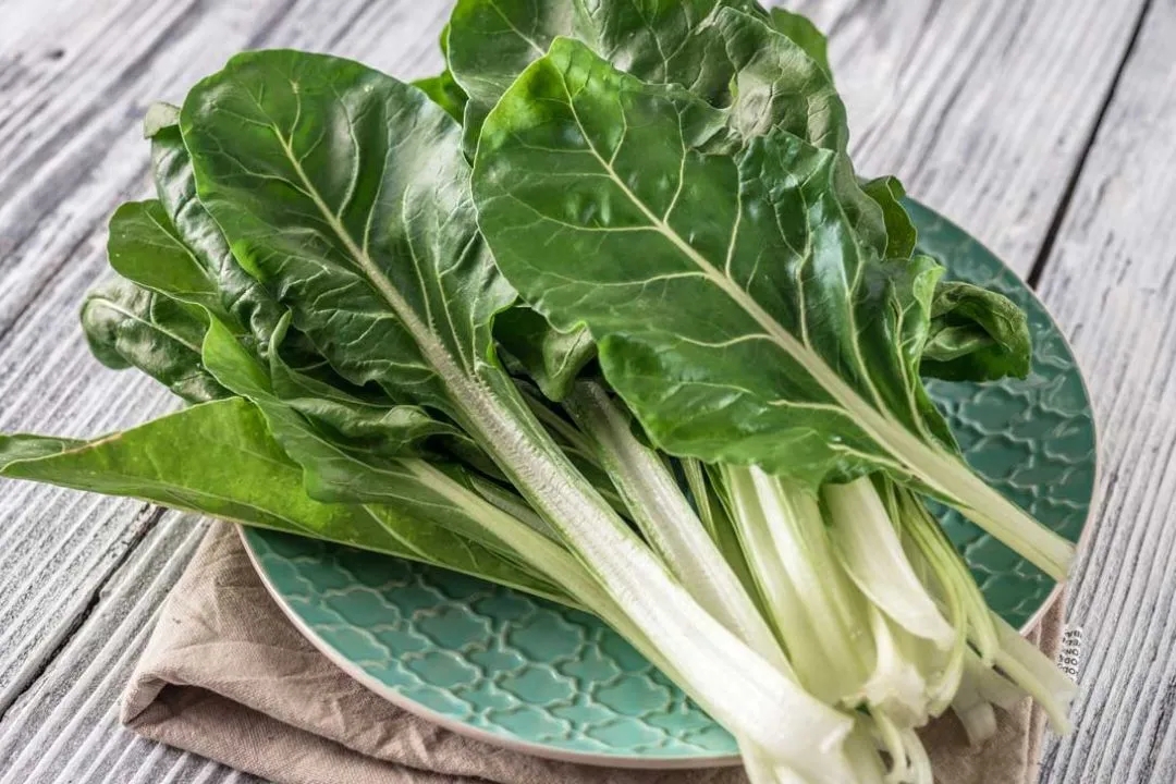 Swiss Chard