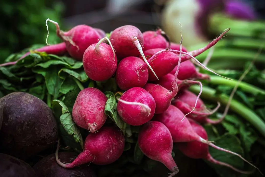Radishes