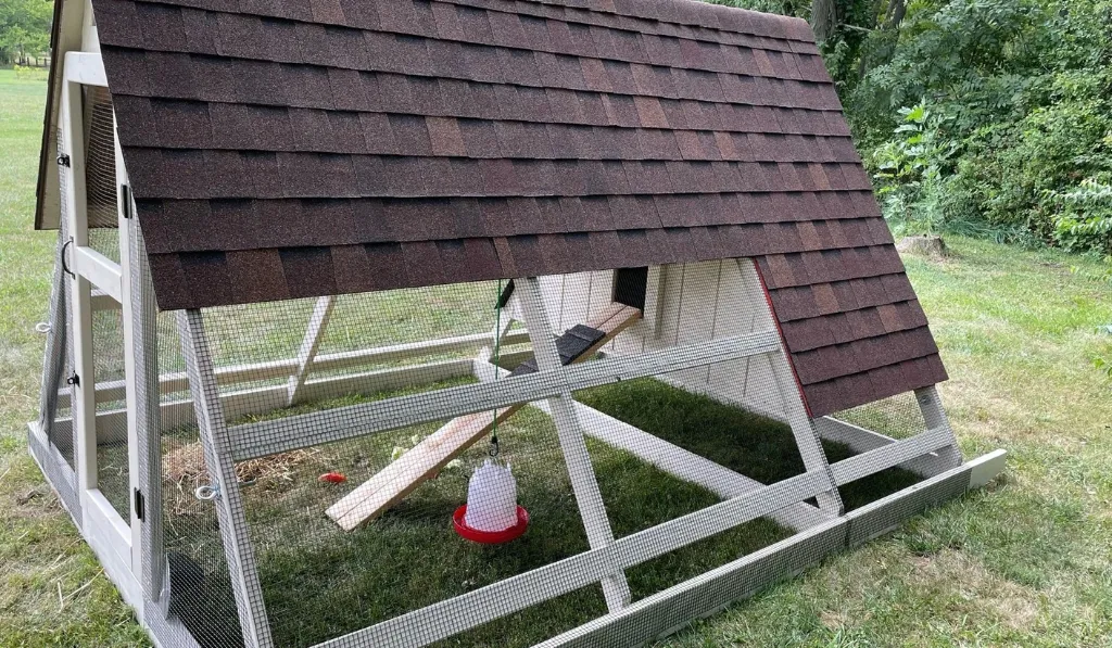 A-Frame Coop