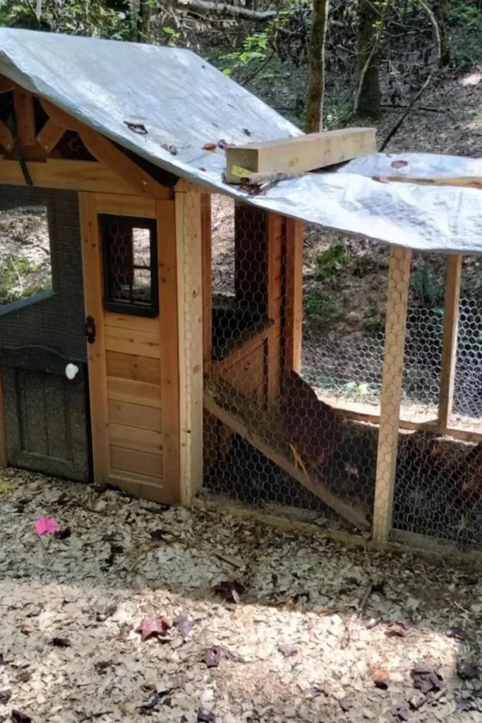 Converted Playhouse Coop