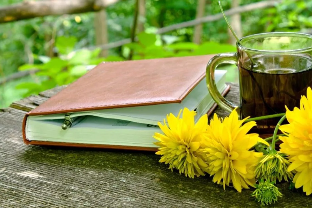 Keep a Garden Journal for Organic Garden