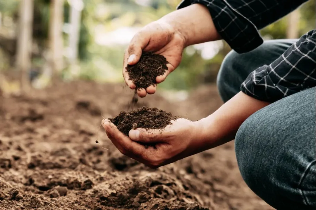 Not Using the Right Soil